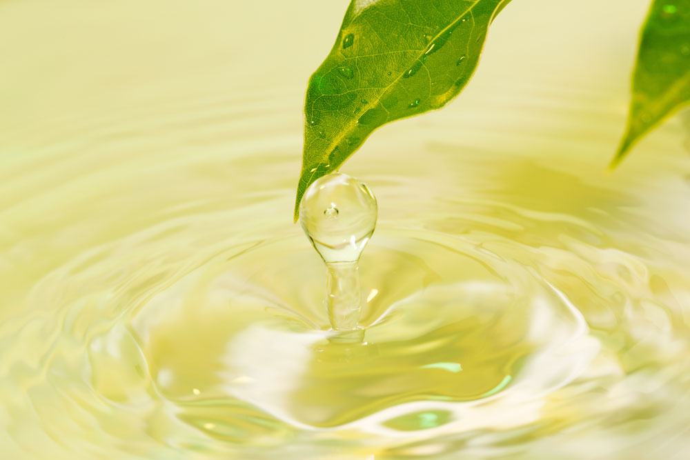 15種類の天然エキス配合